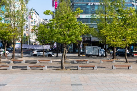 일산문화광장 썸네일